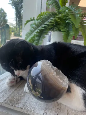 Amethyst Sphere on stand