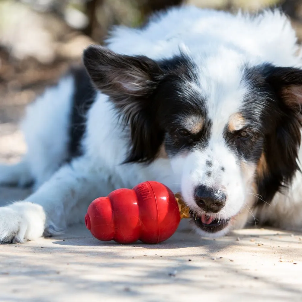 KONG Puppy Snacks