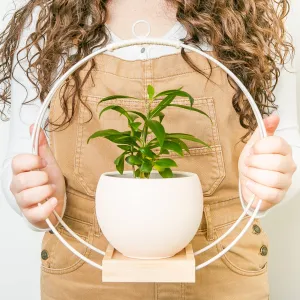 Plant Hanger (Light & Airy)