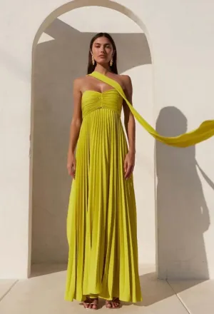 Solana Strapless pleated Maxi Dress