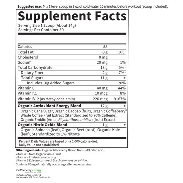Sport Organic Plant-Based Energy   Focus Blackberry