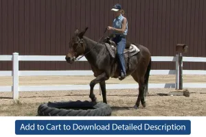 Training Tip - #080 Straight Forward on the Obstacle Course